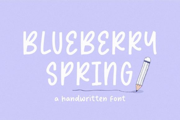 Blueberry Spring: A Designer’s Take on Its Real-World Use