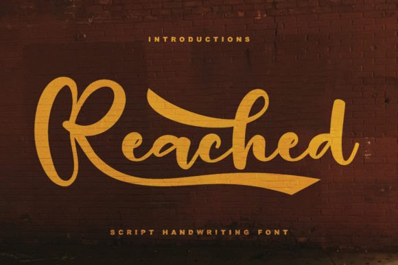 Reached: The Handwritten Font That Elevates Campaign Visuals with Personality